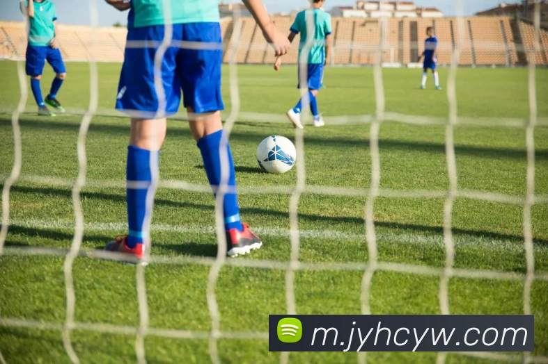 九游会j9平台生态图